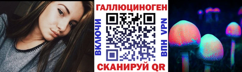 Купить закладки  Дедовск  Псилоцибиновые грибы мицелий 
